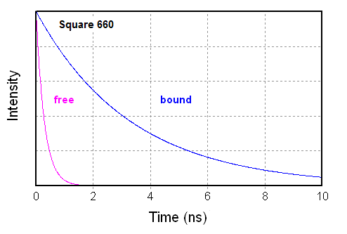 Comparison of the intensity decays of Square-660-Carboxy before and after binding to BSA